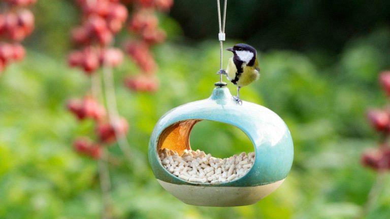 Cute Garden Bird feeder design ideas 