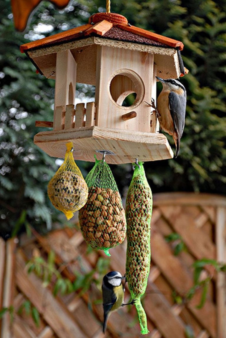 DIY Bird Feeder
