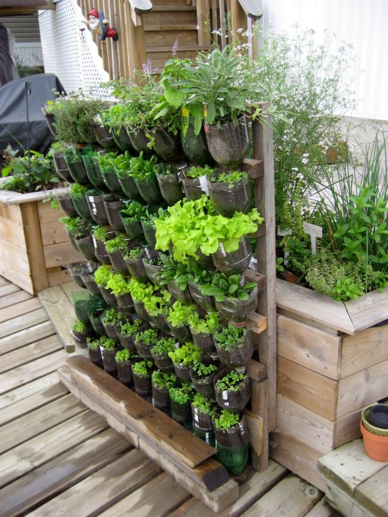 DIY Vertical Garden Ideas That You Will Find Helpful 
