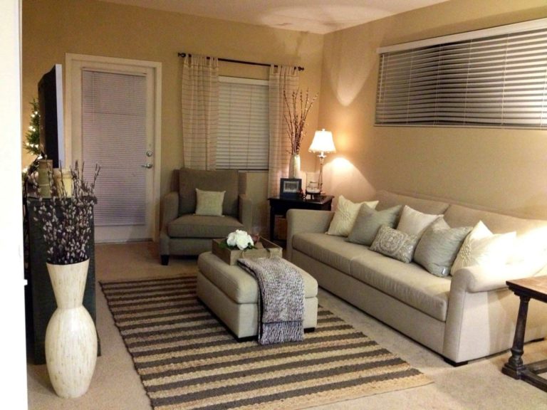 Small Living Room Decor ideas 