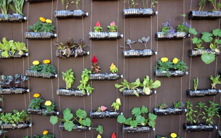Tips on Setting Up a Vertical Garden in Your Home
