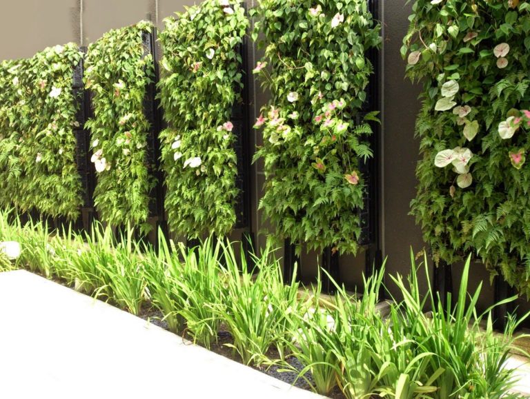 Vertical Garden System for internal and external walls 