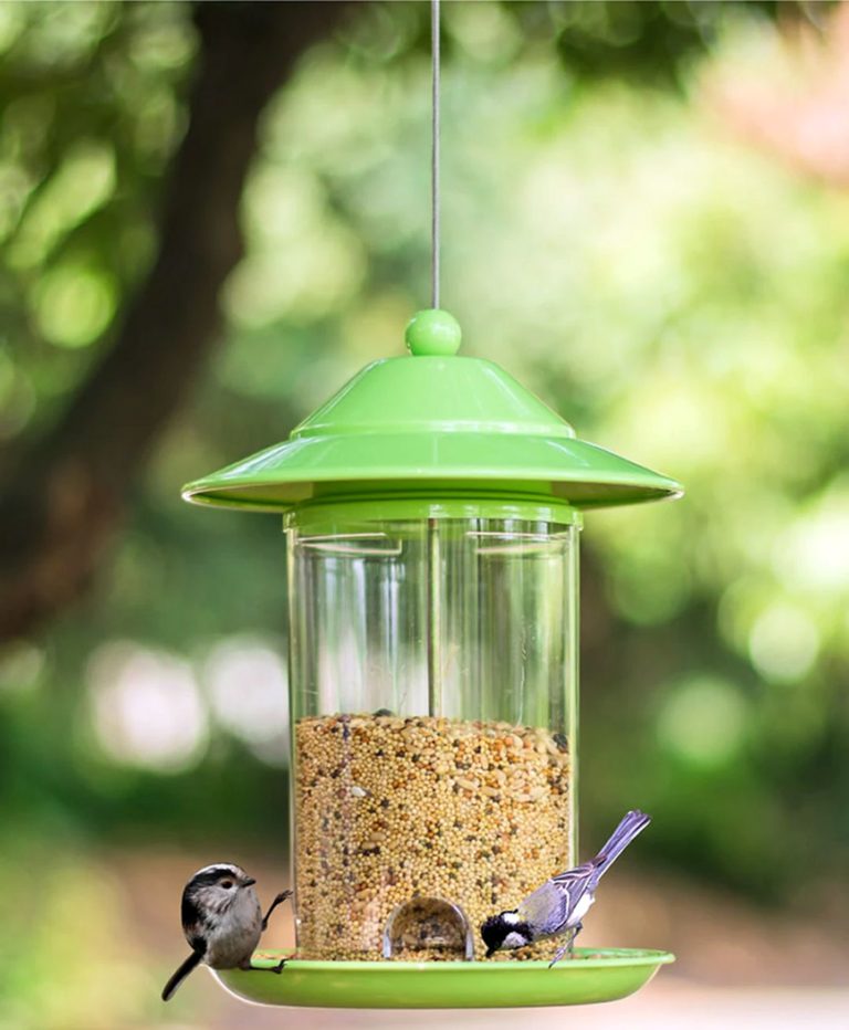 outdoor bird supplies 