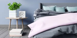 Plants for Bedroom That Clean Air
