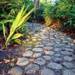 Stone Cobble Path