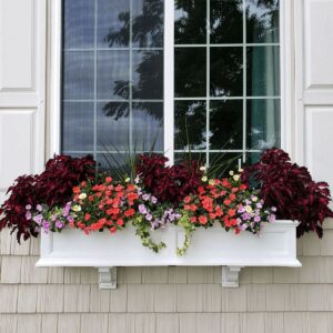 Best Window Planter Boxes