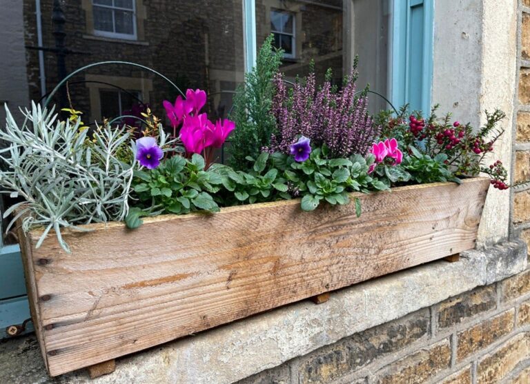 Perfect for Window Boxes
