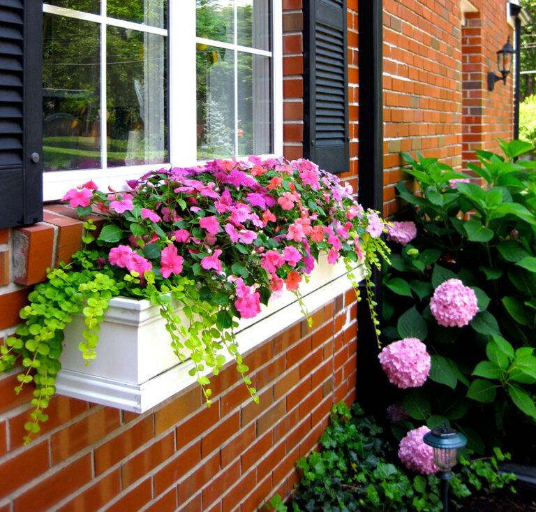Window Boxes the Right Way