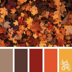 Autumn Color Palettes