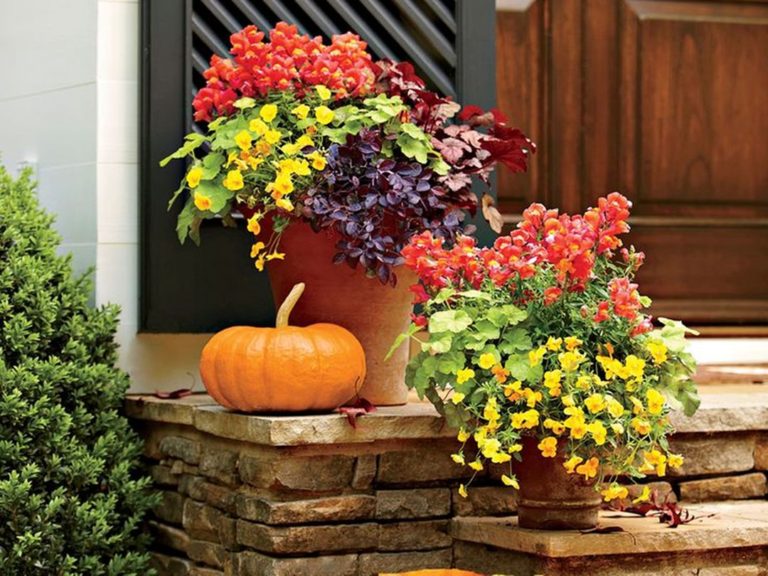 Autumn Garden Flower Decor