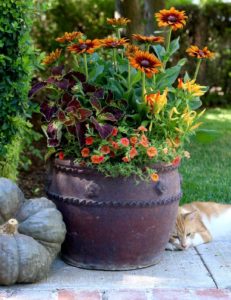 Beautiful Fall Planters