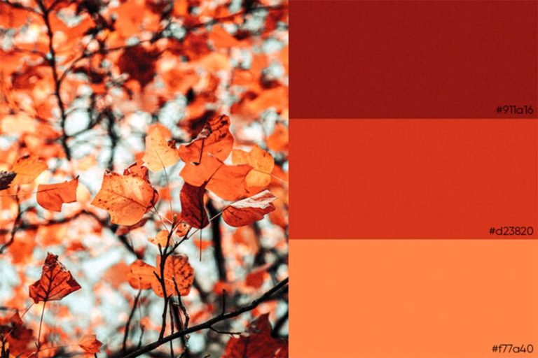 Best Fall Color Palette Fro Sample