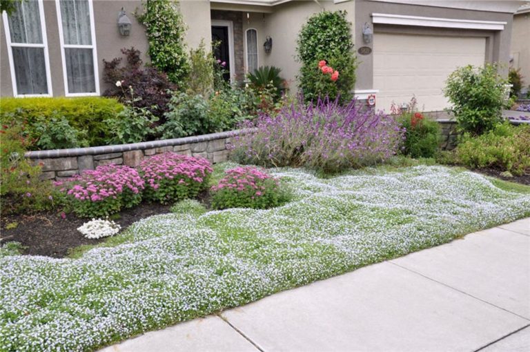 Cheap landscaping ideas for your front yard
