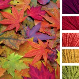 Fall Color Palettes to Inspire