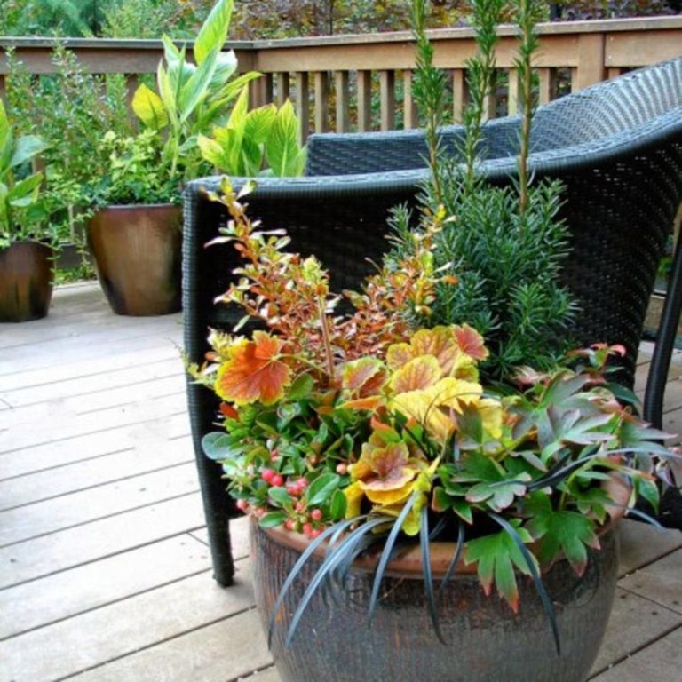 Fall Planter with Snapdragons