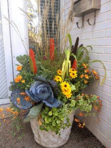 Fall Shade Flowers For Pots