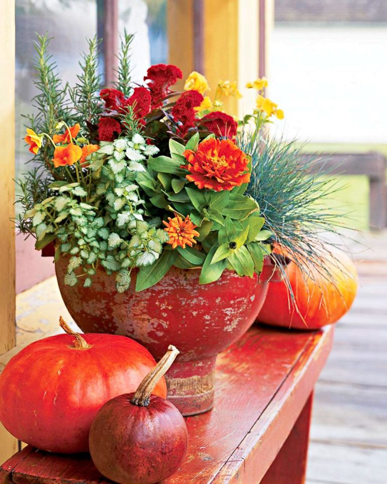 Fresh Fall Container Gardens