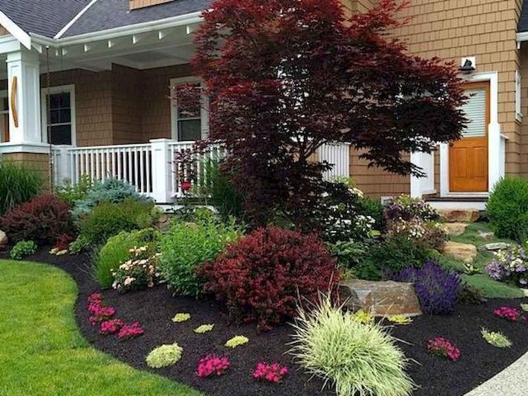 Fresh and Low Maintenance Front Yard ideas