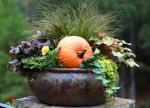 Garden Pumpkin decoration