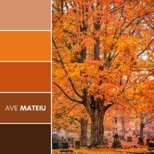 Gorgeous fall colors accent the cemetery Color Palette