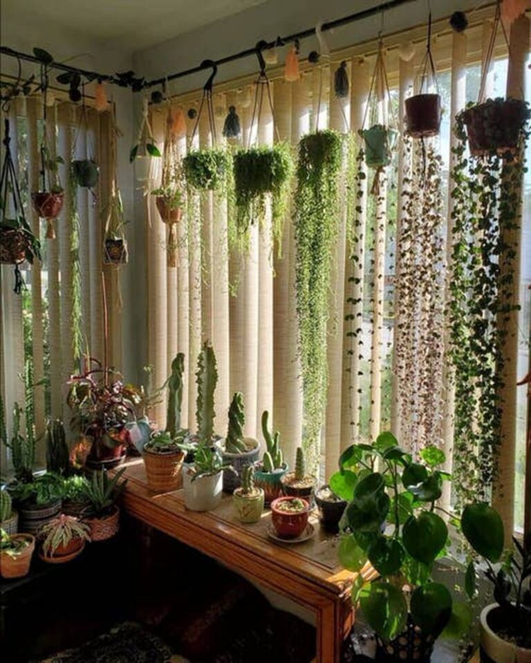Modern Indoor Plant Displaying Ideas for Your Home