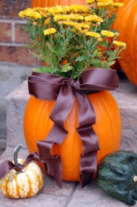 Pumpkin Planter for Fall