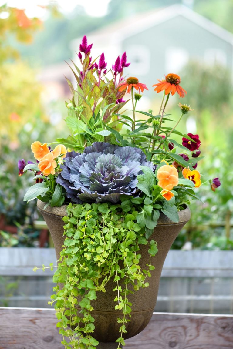 Wonderful Fall Flower Pots