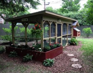 Backyard chicken coop plans