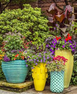 Four sping containers garden