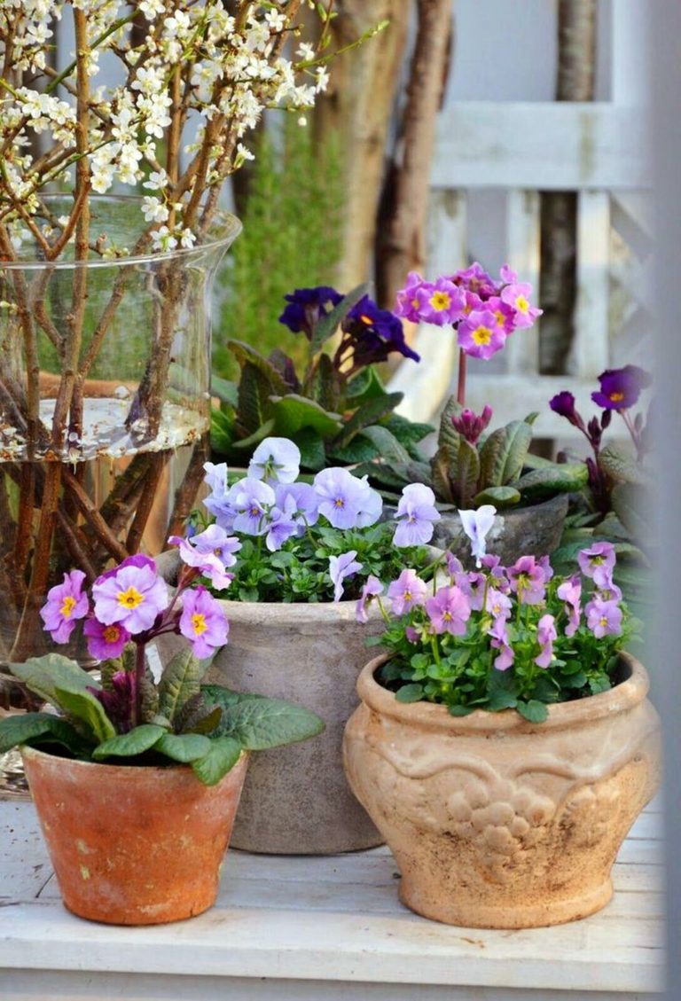 Spring Flowers in a Pot