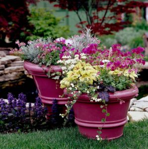 Spring Garden Containers