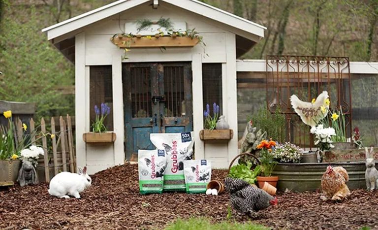 Unique and Functional Chicken Coop Ideas