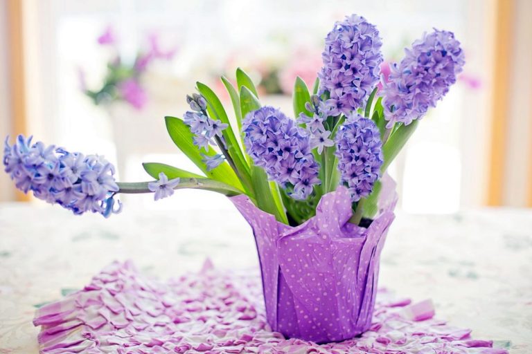 Chic Purple Flower Spring Ideas