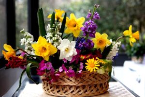 Daffodils Flowers Arrangment