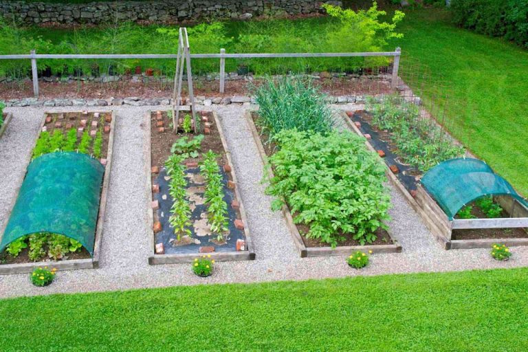 Shade Vegetable Gardening