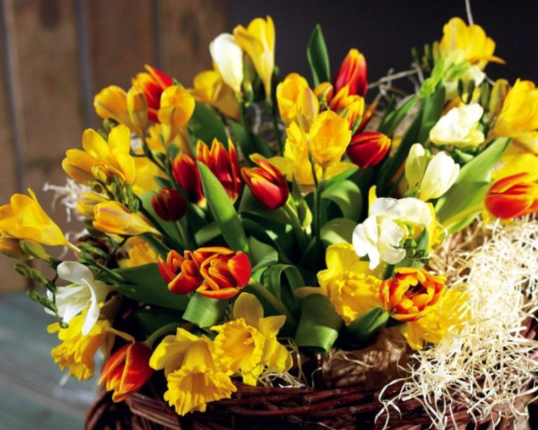 Tulips Flower Arrangment