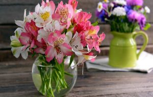 Wonderful Spring Flowers in Vas